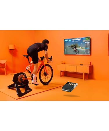 Cardio Sport ANT+ USB Stick for Zwift Garmin Wahoo TacX & BKOOL - International Shipping Available - Buy Online on GoSupps.com