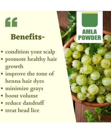 Hibiscus + Amla Powders Combo 100% Natural for Hair & Growth (2 Pouches 175gm each) - Buy Online on GoSupps.com