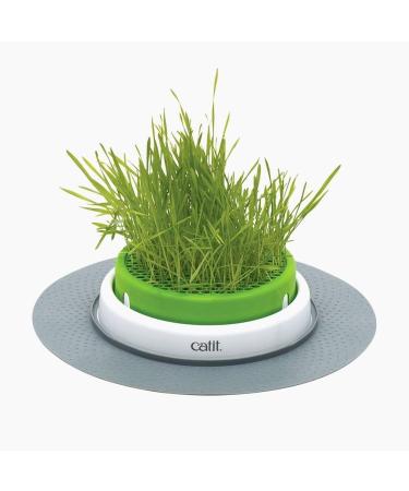 Catit Play Track Super - Ultimate Super Circuit & Grass Planter for Cats | International Shipping - Buy Online on GoSupps.com