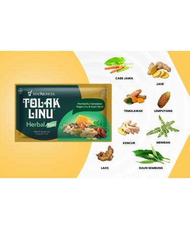 Sido Muncul Tolak Linu Mint Herbal Boisson Traditionnelle au Gingembre Curcuma et Plantes 5 Sachets Liquides de 15 ml Saveur Menthe - Buy Online on GoSupps.com