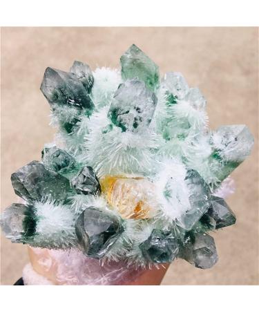 Natural Crystal Rough Natural Green Ghost Phantom Quartz Crystal Cluster Rock Stones and Crystals ReikiSpecimen Home Deco for Decoration Stone Generator (Size : 500-600g) - Buy Online on GoSupps.com