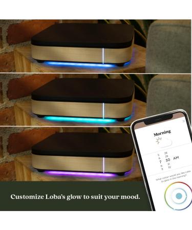 7-Day Smart Pill Organizer by Loba | Adjustable Notifications & Detachable Compartments | International Shipping Available - Buy Online on GoSupps.com