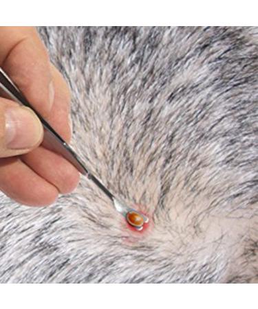 eTradewinds Tick-Off Pro Tool | Hygienic Stainless Steel Tick Remover 2-Pack - Buy Online on GoSupps.com