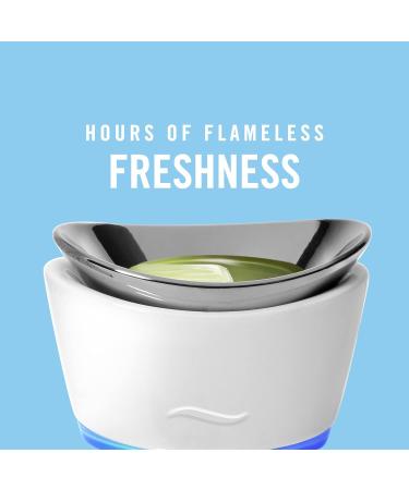 Febreze Gain Original Scent Wax Melts | 6 Packs, 6 Cubes Each | Air Freshener Wax Melt Warmer Cubes - Buy Online on GoSupps.com