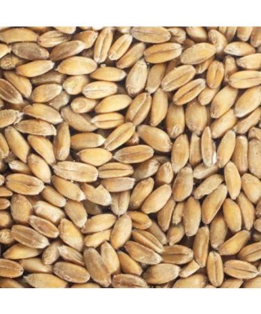 Spelt sprouting seeds ab - Buy Online on GoSupps.com