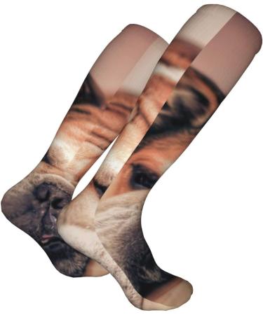 English Bulldog Compression Socks for Men & Women - 15-20 mmHg Circulation Support for Running & Cycling - Buy Online on GoSupps.com