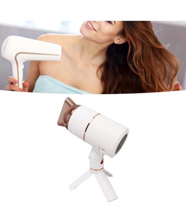 Revolutionary Ionic Salon Hair Dryer - Fast Drying Constant Temperature Quiet Operation for Professional Salon Results(#1) - Buy Online on GoSupps.com
