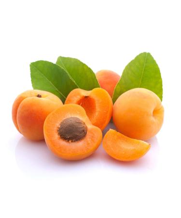 Organic Sweet Apricot Kernels 2.5 lbs - Non-GMO Raw Whole Seeds | Vegan Kosher Bulk Supply - Buy Online on GoSupps.com