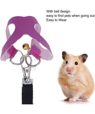 Shop Asixxsix Purple Dishwear & Leash Set for Hamsters Guinea Pigs & Ferrets - 3 Sizes Synthetic Leather Crockery & Nylon Line - Buy Online on GoSupps.com