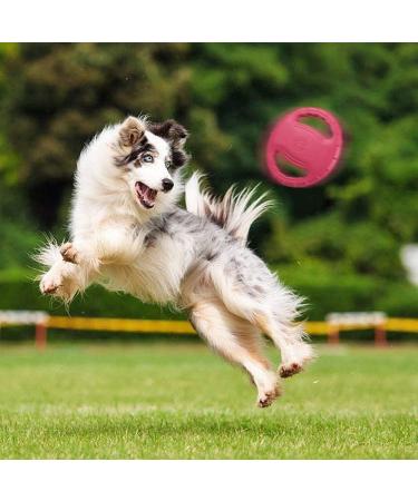 Skrtuan Dog Frisbee for Medium & Large Dogs - Interactive Squeaky Toy for Swimming & Outdoor Fun - Buy Online on GoSupps.com