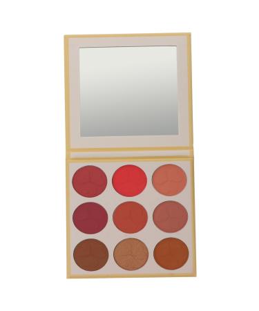 Healeved 3 Pcs 9 Loose Powder Makeup Palette Facial Beauty Face Blushe Press Powder Makeup 9 Blush Shade 1 g (Pack of 1) Assorted Colorx3pcs