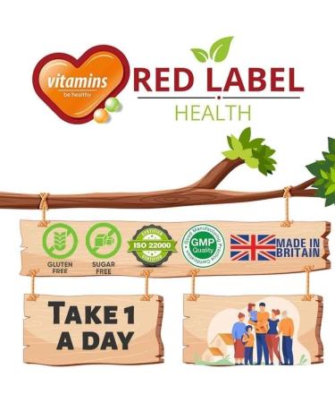 Vitamin B Complex High Strength 90 Tablets (3 Months Supply) All 8 Vitamins B in 1 Tablet Vitamins B1 B2 B3 B5 B6 B12 Biotin & Folic Vitamin B for Men & Women Vegan Made in The UK 1 count (Pack of 90) - Buy Online on GoSupps.com