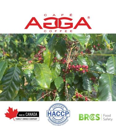 Caf Agga - Dolca Vita Coffee Capsules - Light / Medium Roast Espresso - 100% Arabica - Smooth & Creamy - Compatible with all OriginalLine Machines - 3/6 Intensity - 60 Cups Coffee - 6 x 10 Box/Capsules Dolce Vita - Buy Online on GoSupps.com