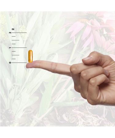 Nature's Answer Nettle Leaf Vegan Capsules 90 Count | Prostate Support | Natural Energy | Immune Support | Daily Supplement - Buy Online on GoSupps.com