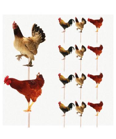 14pcs Chicken Farm Birthday Party Cupcake Toppers