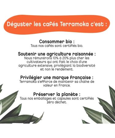 TERRAMOKA - 1 Kg Organic Coffee Beans of Excellence - 100% Pure Arabica from Mexico and Brazil - Delicate fine and fruity - 100% Recyclable Bag - Mademoiselle Ad le - Roasted in France - Buy Online on GoSupps.com