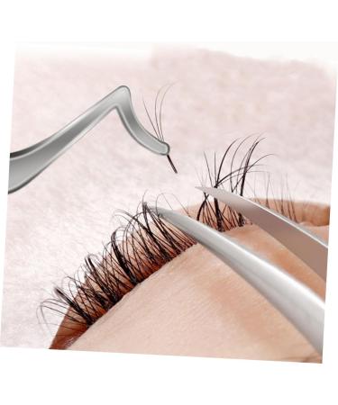 Buy NOLITOY Eyelash Curler & Eyebrow Curler - Stainless Steel Makeup Tools for Perfect Lashes & Easy Application - Shop Internationally - Buy Online on GoSupps.com