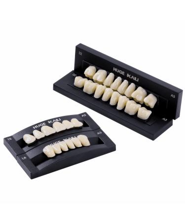 Dental Acrylic Resin Denture False Teeth A3  T6 Synthetic Polymer Resin Fake Teeth for Replacement  Halloween  DIY (28 Pcs/Set) T6  1 Set A3
