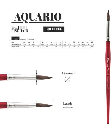 Escoda Aquario 1125 Artist Watercolor & Acrylic Brush, Size 10 Round - Petit Gris Squirrel Hair, Short Handle - Buy Online on GoSupps.com