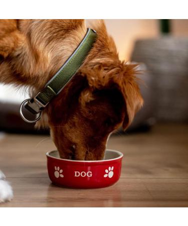 Nobby Dog Ceramic Bowl Dog 13.5 x 13.5 x 5 cm Red/ Beige Red/Beige 13.5 x 13.5 x 5 cm - Buy Online on GoSupps.com