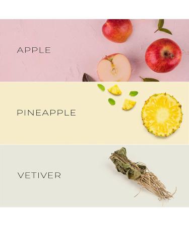 David Walker ZORO Fragrances | Exclusive Collection | Long lasting perfumes for men | Lemon Ginger Lavender Mint | 50ML / 1.7Oz (Pack of 1) - Buy Online on GoSupps.com