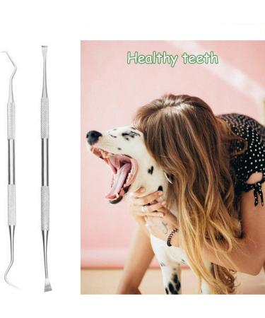 Schecker Tartar Remover Set | Dentist-Quality 2-Part Kit for Dogs Cats & Pets | Effective Tartar Removal - Buy Online on GoSupps.com