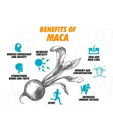 Thompson Maca 525mg - 60 Vegetarian Capsules for Energy & Vitality - Buy Online on GoSupps.com