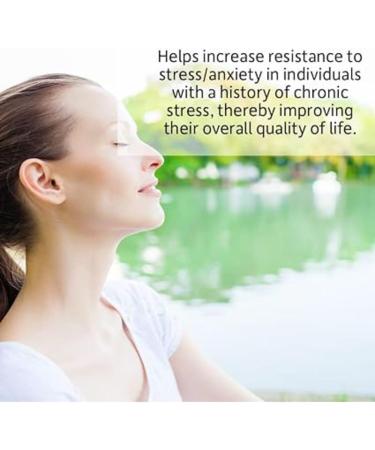 Garden of Life Dr. Formulated Probiotics Mood+ | Manages Digestive Health & Symptoms of Chronic Stress | 50 Billion CFU + 16 Probiotic Strains | Includes Organic Ashwagandha and Blueberries - Buy Online on GoSupps.com
