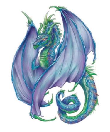 Fantasy Dragons Temporary Tattoos - Set of 10 Colorful Dragon Designs - Buy Online on GoSupps.com