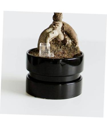 HAPINARY 3pcs Mini Liquid Feeder Ants Water Feeding Clear Ants Feeder Plastic Insect Feeder - Buy Online on GoSupps.com