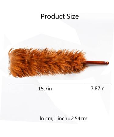 FCSHFC Natural Feather Duster Reusable Dusters for Cleaning with Wooden Handle for Cleaning Ceiling Fans Window Blinds Computer Screens Bookshelves Etc - Buy Online on GoSupps.com