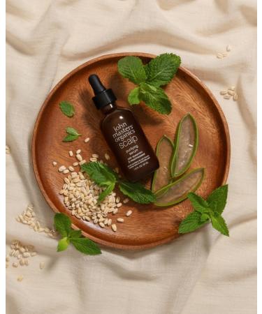 Spearmint & Meadowsweet Scalp Purifying Serum - Deep Cleansing Formula - Buy Online on GoSupps.com