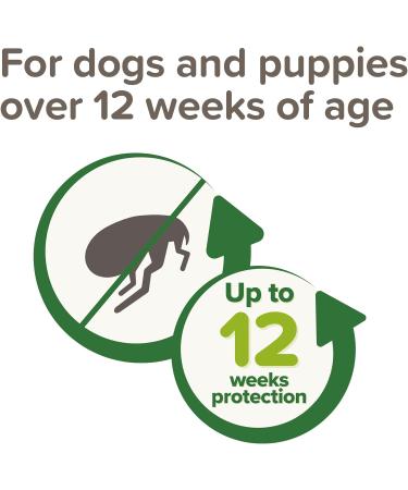 Beaphar Dog Spot-On Repels Fleas Plant-Based Parasite Protection Contains Natural Herbal Extract Margosa Up to 12 Weeks Protection 3 Pipettes - Buy Online on GoSupps.com