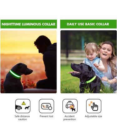 Masbrill LED Dog Collar - USB Rechargeable Waterproof & Adjustable for Small to Medium Dogs - 3 Lighting Modes - Safety Green (S 28-40cm) - Buy Online on GoSupps.com