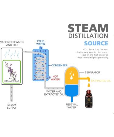 100% Pure Cedar Essential Oil Set for Diffuser Aromatherapy Ylang Ylang Essential Oil Kit for Home 5x10ml 100% Pure Basil Essential Oils Set - Clary Sage Pine Needles Oils for Air Freshener - Buy Online on GoSupps.com