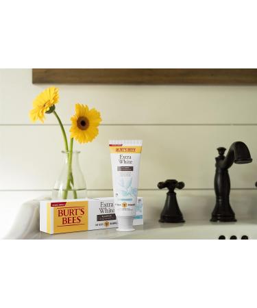 Burt's Bees Extra White Toothpaste Fluoride Toothpaste Natural Flavor Mountain Mint 4.7 oz Pack of 3 - Buy Online on GoSupps.com
