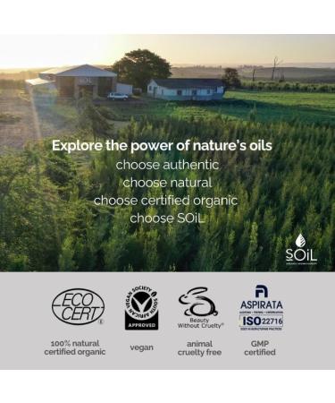 SOiL Organic Focus Essential Blend Oil 10ml - 100% Pure & Natural for Diffusers Oil Burners & Topical Use - Enhance Your Wellbeing - Buy Online on GoSupps.com