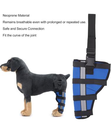 Dog Right Rear Leg Hock Brace - Neoprene Material Prevents Injuries Provides Stability with Support Strip Reflective Strip for Dogs (S) - Buy Online on GoSupps.com