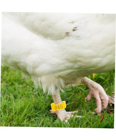 Kisangel 100pcs Chicken Leg Ring Pet Foot Band Parrot Foot Ring Poultry Marking Ring Chicken Foot Ring Pigeon 3.3X3.3CM Yellow - Buy Online on GoSupps.com