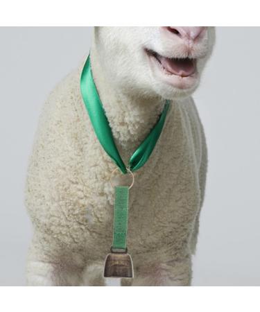 Toddmomy Camping Accessories | Anti-Theft Dog Color Bell Tracker | Loud Bear Dells Pendant with Velcro for Camping - Buy Online on GoSupps.com