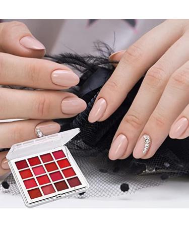 16 Colors Gradient Pink Chrome Nail Powder Set Nail Pigment Powder Boxes Gradient Iridescent Nail Art Decoration for Nail Art Design Decoration - Buy Online on GoSupps.com
