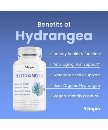 Organic Hydrangea Extract Capsules 10 000mg - Urinary Tract & Kidney Support Antioxidant & Skin Health - Non-GMO Gluten-Free Vegan - 180 Veggie Capsules - Buy Online on GoSupps.com