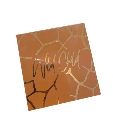 DUnLap Beauty Palette 9 Colors Rich Hot Chocolate Wild Child Eyeshadow Palette Matte Makeup Shimmer Palette Shade Glitter Eye Nude Brown Pig People Professional Eyeshadow Palette China