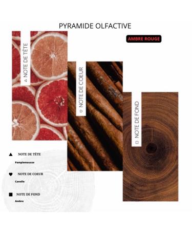 MASSALIYA Beard Oil - Premium French Argan & Jojoba Oil for Hair & Skin Care | Alcohol-Free Moisturizer & Protector - Unique AMBRE ROUGE Scent - Buy Online on GoSupps.com