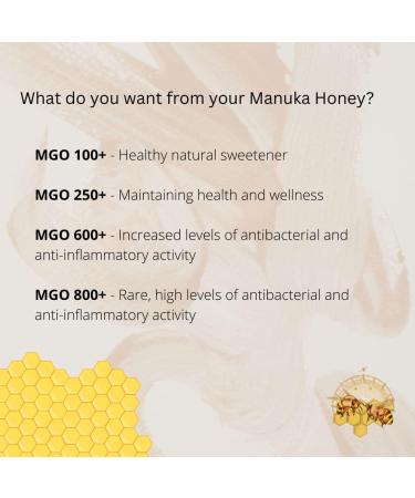 Manuka North MGO 600+ Manuka Honey | 350g | Authentic Premium New Zealand Manuka Honey - Buy Online on GoSupps.com