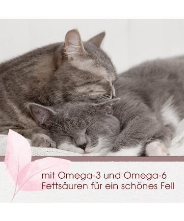 CDVet Felitatz Fellglanz 50ml - Natural Omega-3 & Omega-6 for Cats | Organic Oils for Healthy Fur - Buy Online on GoSupps.com