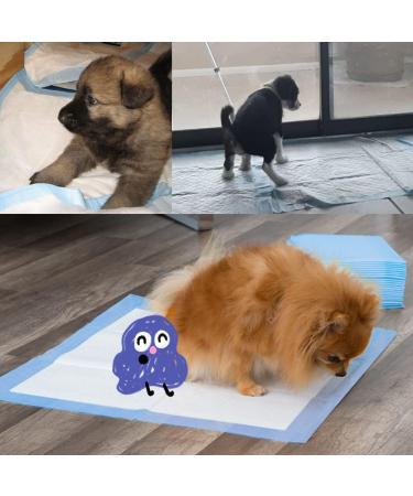 40 Count Dog Training Pads Extra Large Puppy Pads Disposable Absorbent & Leak-Proof XL Pet Pee Pads Housebreaking Supplies for Large Dogs Puppies Cats Rabbits and Kids - 36x32 Inch Blue - Buy Online on GoSupps.com