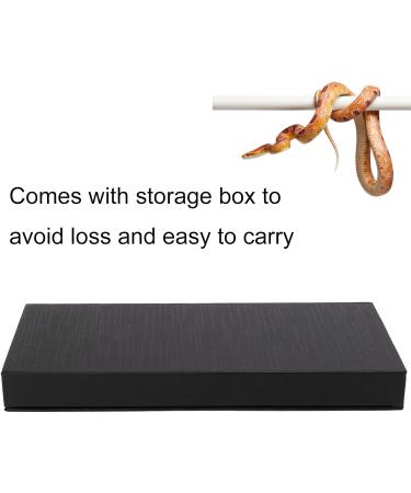 Fupei Round Head Reptile Probe 5 Sizes Smooth Anti Allergic Snake Probe Kit for Snake Sexing Probe - Buy Online on GoSupps.com