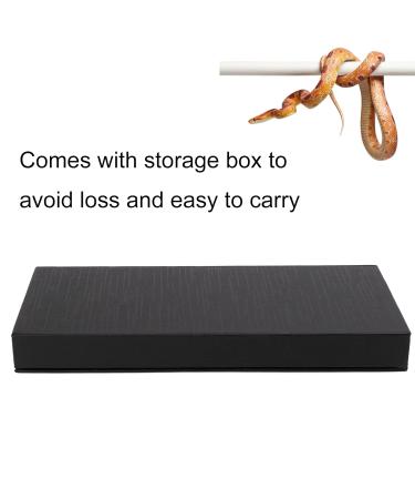 Snake Probes 6 Piece Professional Probe Set Stainless Steel Round Head Anti Allergy Reptiles Snake Sexing Probe Snake Probe Kit for Veterinary - Buy Online on GoSupps.com