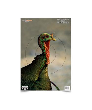 BIRCHWOOD CASEY Pregame 12" x 18" Targets, Highly Visible Instant Splattering Shooting Practice Targets Target Turkey